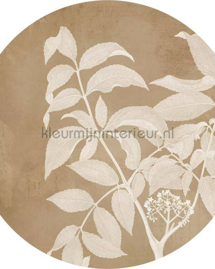 Komar Dots D1-096 | Bestellen bij https://www.kleurmijninterieur.nl/