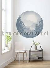 Komar Dots D1-039 | Bestellen bij https://www.kleurmijninterieur.nl/