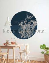 Komar Dots D1-033 | Bestellen bij https://www.kleurmijninterieur.nl/