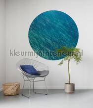 Komar Dots D1-083 | Bestellen bij https://www.kleurmijninterieur.nl/