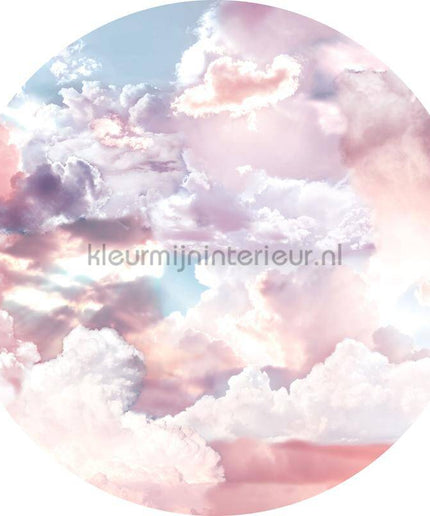 Komar Dots D1-010 | Bestellen bij https://www.kleurmijninterieur.nl/