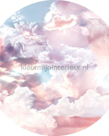 Komar Dots D1-010 | Bestellen bij https://www.kleurmijninterieur.nl/