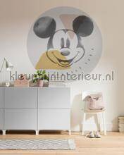 Komar Dots DD1-039 | Bestellen bij https://www.kleurmijninterieur.nl/