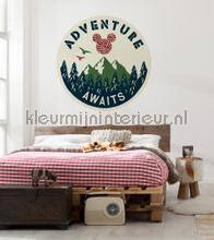 Komar Dots DD1-033 | Bestellen bij https://www.kleurmijninterieur.nl/