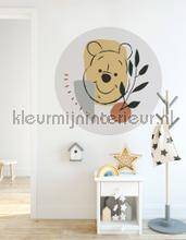 Komar Dots DD1-035 | Bestellen bij https://www.kleurmijninterieur.nl/