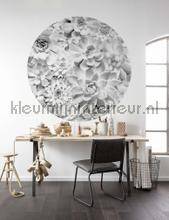 Komar Dots D1-046 | Bestellen bij https://www.kleurmijninterieur.nl/