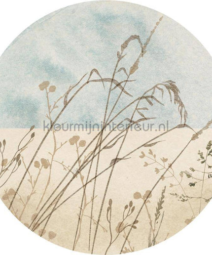 Komar Dots D1-098 | Bestellen bij https://www.kleurmijninterieur.nl/