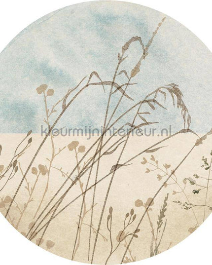 Komar Dots D1-098 | Bestellen bij https://www.kleurmijninterieur.nl/