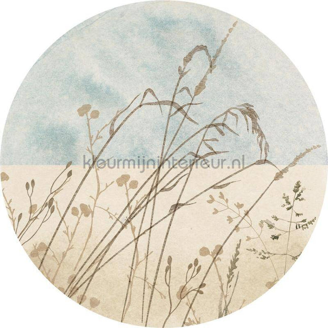 Komar Dots D1-098 | Bestellen bij https://www.kleurmijninterieur.nl/