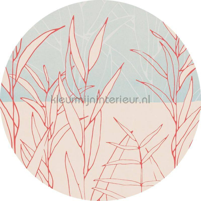 Komar Dots D1-078 | Bestellen bij https://www.kleurmijninterieur.nl/