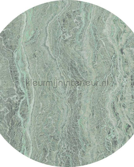 Komar Dots D1-008 | Bestellen bij https://www.kleurmijninterieur.nl/