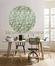 Komar Dots D1-024 | Bestellen bij https://www.kleurmijninterieur.nl/