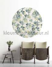 Komar Dots D1-053 | Bestellen bij https://www.kleurmijninterieur.nl/