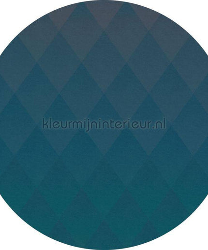 Komar Dots D1-005 | Bestellen bij https://www.kleurmijninterieur.nl/