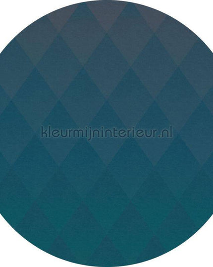 Komar Dots D1-005 | Bestellen bij https://www.kleurmijninterieur.nl/
