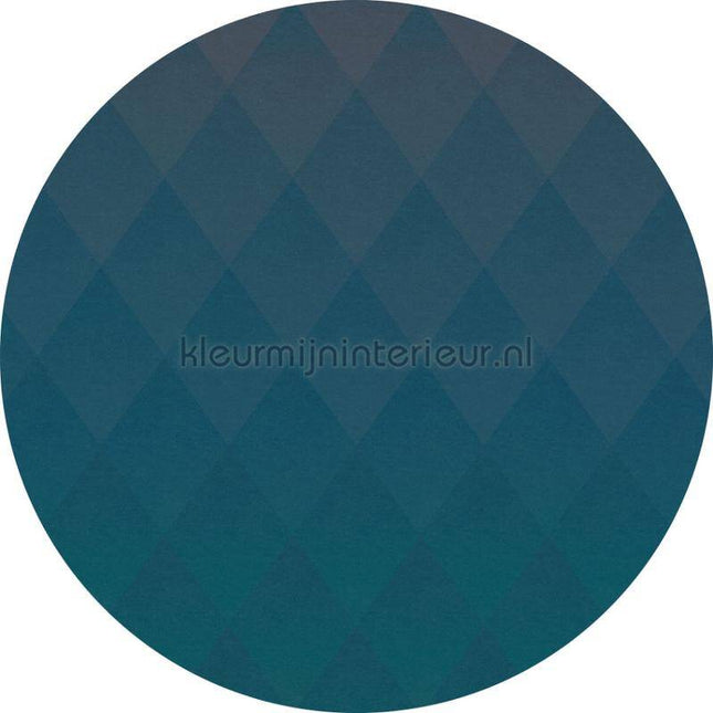 Komar Dots D1-005 | Bestellen bij https://www.kleurmijninterieur.nl/