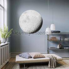 Komar Dots D1-020 | Bestellen bij https://www.kleurmijninterieur.nl/