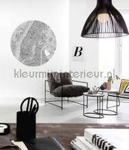 Komar Dots D1-056 | Bestellen bij https://www.kleurmijninterieur.nl/