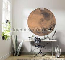 Komar Dots D1-018 | Bestellen bij https://www.kleurmijninterieur.nl/