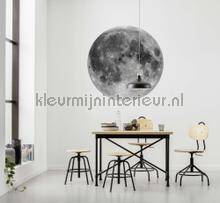 Komar Dots D1-019 | Bestellen bij https://www.kleurmijninterieur.nl/