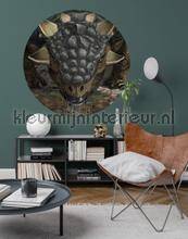 Komar Dots DNG1-004 | Bestellen bij https://www.kleurmijninterieur.nl/