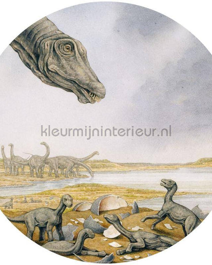 Komar Dots DNG1-001 | Bestellen bij https://www.kleurmijninterieur.nl/