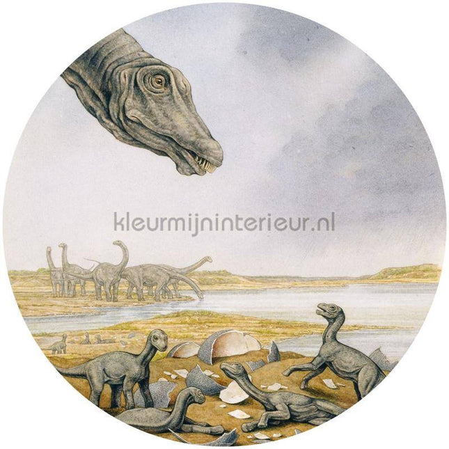 Komar Dots DNG1-001 | Bestellen bij https://www.kleurmijninterieur.nl/