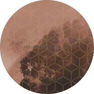Komar Dots D1-084 | Bestellen bij https://www.kleurmijninterieur.nl/