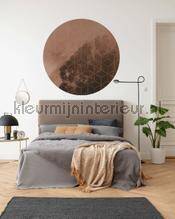Komar Dots D1-084 | Bestellen bij https://www.kleurmijninterieur.nl/