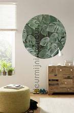 Komar Dots D1-023 | Bestellen bij https://www.kleurmijninterieur.nl/