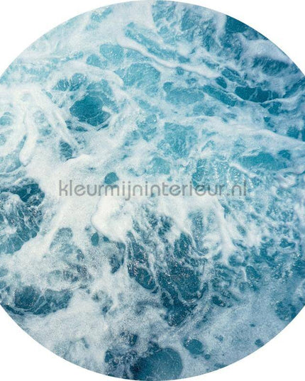 Komar Dots D1-040 | Bestellen bij https://www.kleurmijninterieur.nl/