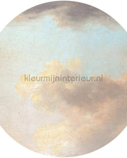 Komar Dots D1-014 | Bestellen bij https://www.kleurmijninterieur.nl/