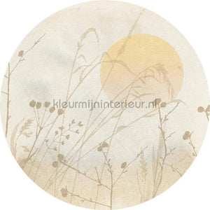 Komar Dots D1-099 | Bestellen bij https://www.kleurmijninterieur.nl/