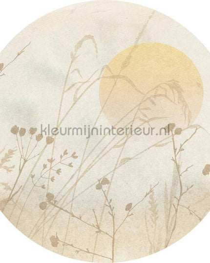Komar Dots D1-099 | Bestellen bij https://www.kleurmijninterieur.nl/