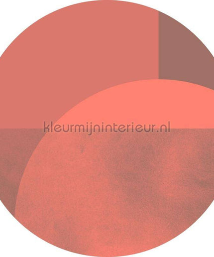 Komar Dots D1-002 | Bestellen bij https://www.kleurmijninterieur.nl/