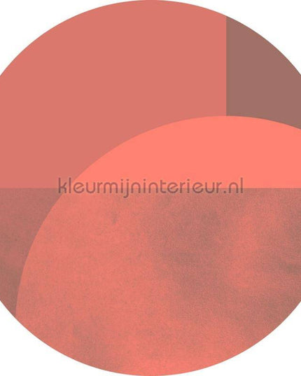 Komar Dots D1-002 | Bestellen bij https://www.kleurmijninterieur.nl/