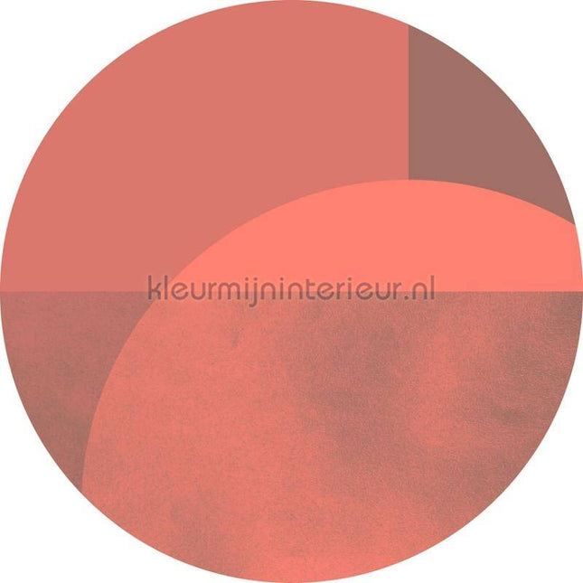 Komar Dots D1-002 | Bestellen bij https://www.kleurmijninterieur.nl/