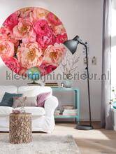 Komar Dots D1-101 | Bestellen bij https://www.kleurmijninterieur.nl/