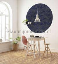Komar Dots D1-058 | Bestellen bij https://www.kleurmijninterieur.nl/