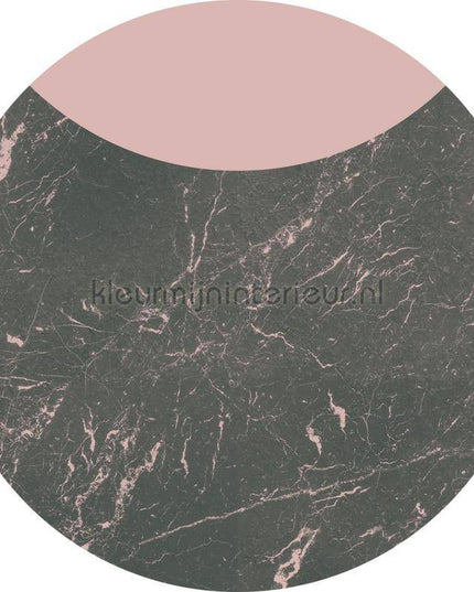 Komar Dots D1-006 | Bestellen bij https://www.kleurmijninterieur.nl/