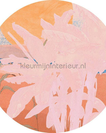 Komar Dots D1-079 | Bestellen bij https://www.kleurmijninterieur.nl/