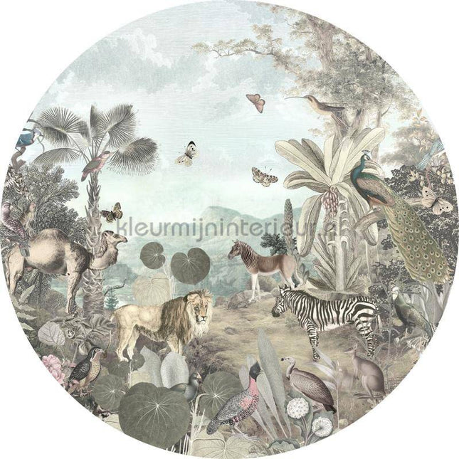Komar Dots D1-028 | Bestellen bij https://www.kleurmijninterieur.nl/