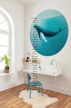 Komar Dots D1-081 | Bestellen bij https://www.kleurmijninterieur.nl/