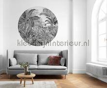 Komar Dots D1-087 | Bestellen bij https://www.kleurmijninterieur.nl/