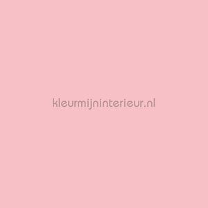Benif Uni rs81 | Bestellen bij https://www.kleurmijninterieur.nl/