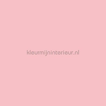 Benif Uni rs81 | Bestellen bij https://www.kleurmijninterieur.nl/