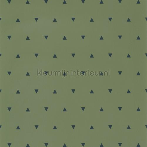 Caselio Our Planet OUP101997400 | Bestellen bij https://www.kleurmijninterieur.nl/