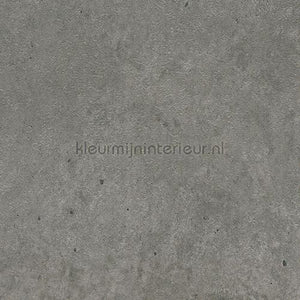 Bodaq Stenen Beton ns403 | Bestellen bij https://www.kleurmijninterieur.nl/