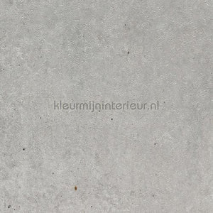 Bodaq Stenen Beton ns401 | Bestellen bij https://www.kleurmijninterieur.nl/