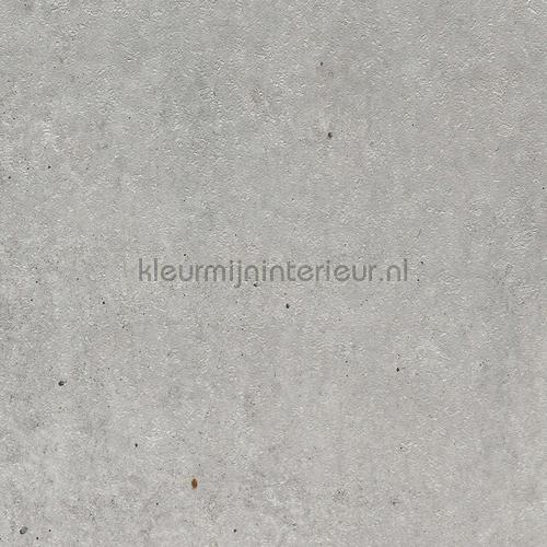 Bodaq Stenen Beton ns401 | Bestellen bij https://www.kleurmijninterieur.nl/